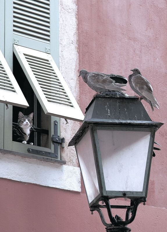 _澳大利亚公开赛决赛：纳达尔逆转夺冠，刷新历史记录_，澳大利亚公开赛是什么地名