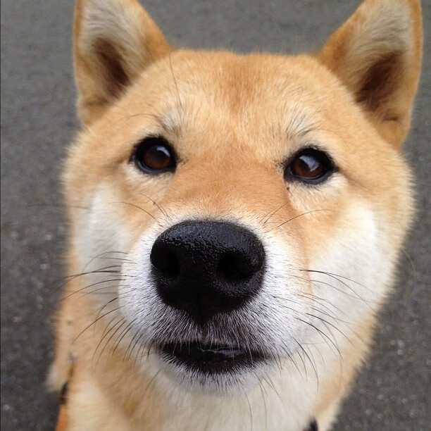 爱游戏体育-【经典比赛盘点】那些改变台球历史的瞬间，台球历史地位