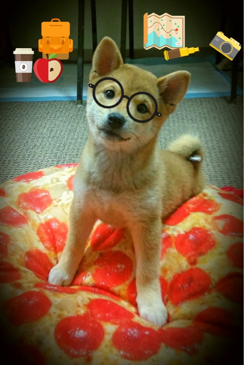 爱游戏娱乐平台-体育舞蹈锦标赛：律动中的艺术表现，体育舞蹈的竞赛规则