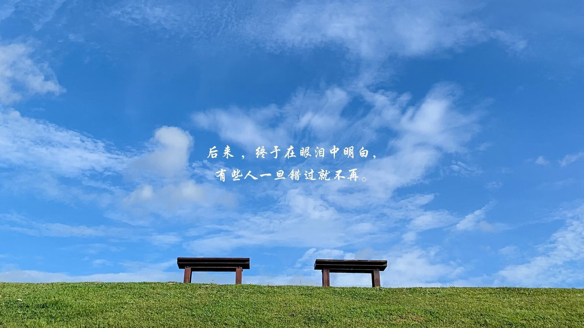 德甲引入新型战术体系,比赛更富变数,德甲最新战报