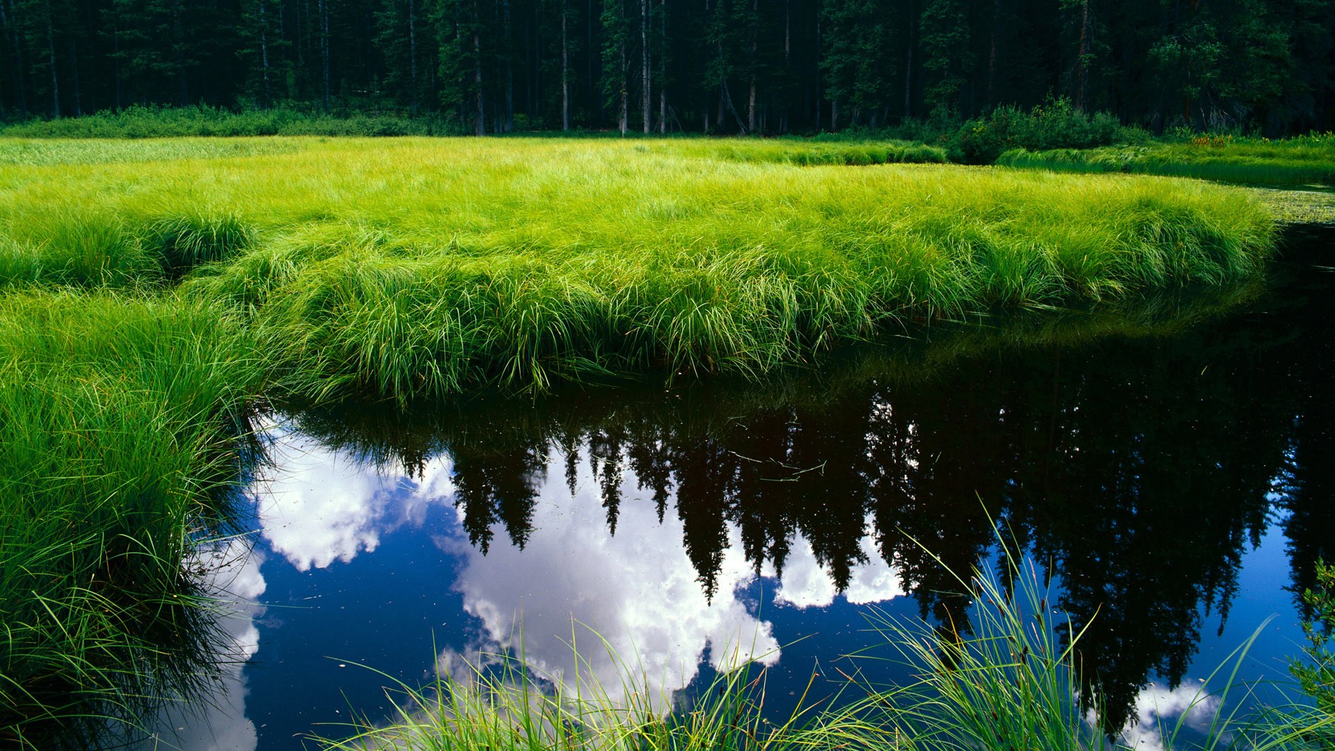 爱游戏app-丹麦迎战摩洛哥，欧洲杯小组赛角逐激烈进行