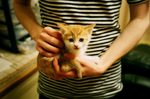 爱游戏电竞官网-国家队欧国联连胜在握，追逐欧锦赛荣耀之路，欧国联赛程2020谁能拿冠军