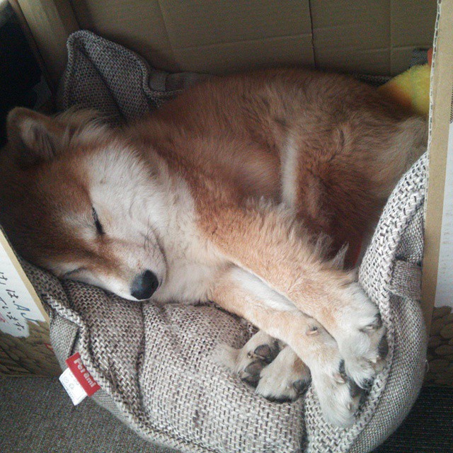 赫塔费主场1-2不敌皇家社会,遗憾落败,赫塔费队