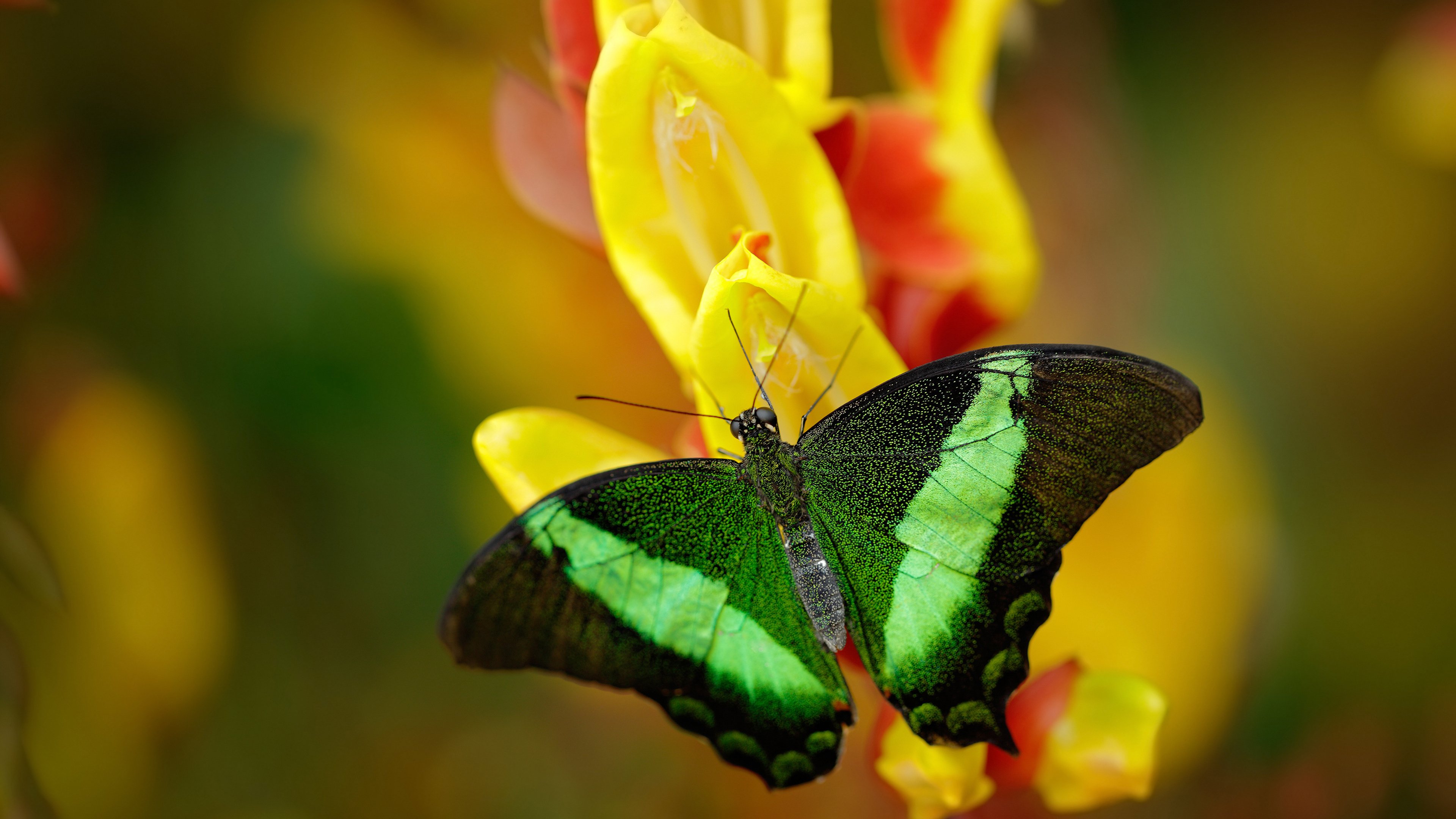 AYX体育-国际热身赛中国队爆冷 球迷情绪陷入低谷，国家队热身赛