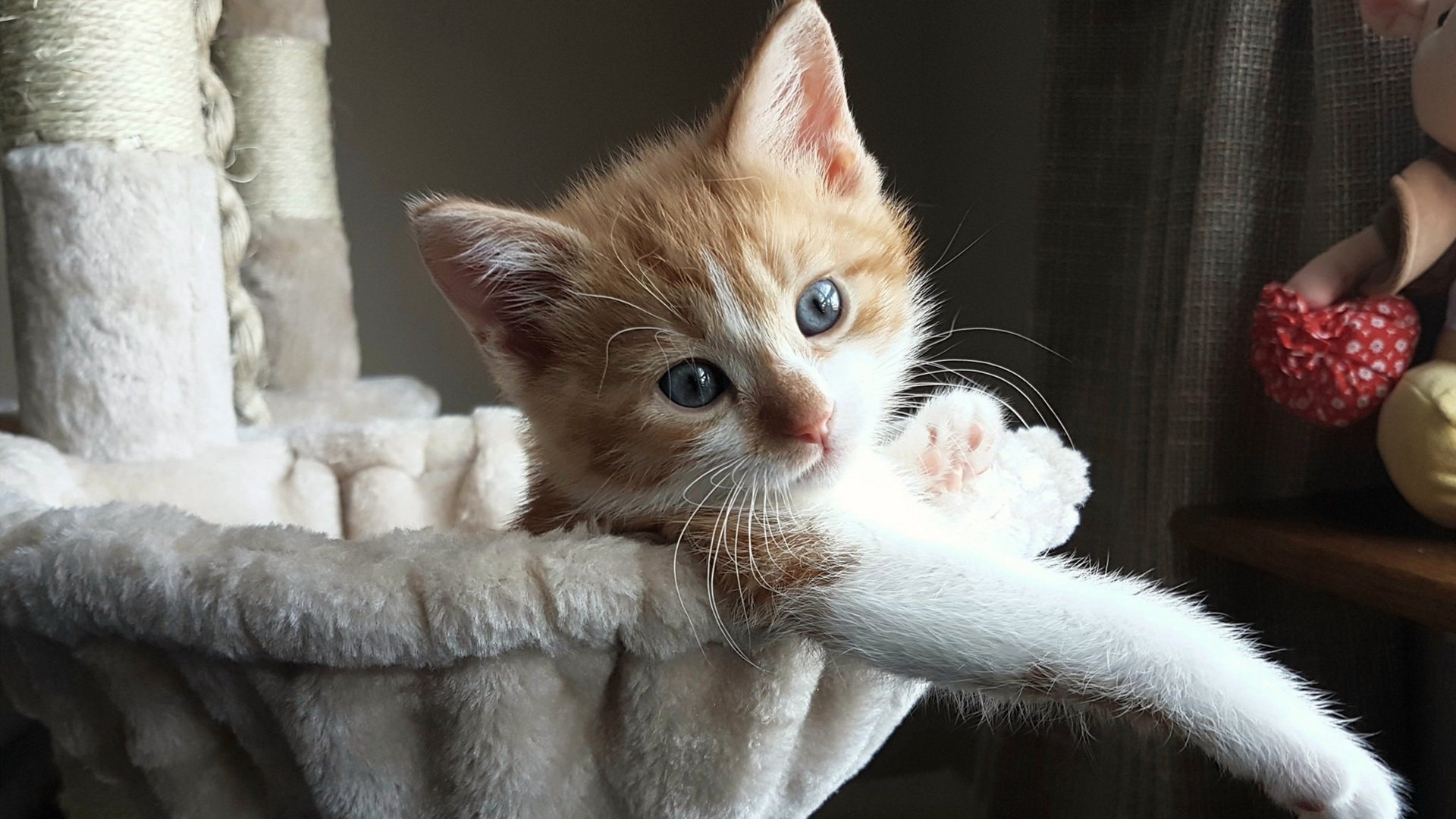 爱游戏体育官方网站-欧洲杯战术创新：变化多端的布局折服众人，欧洲杯战术分析