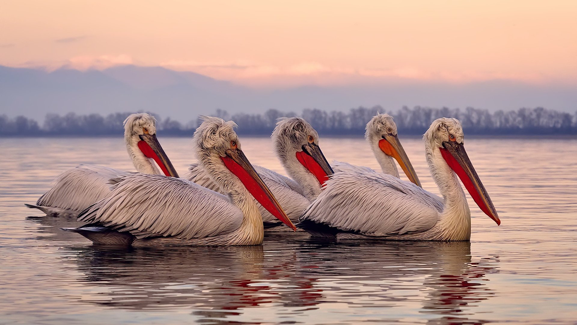 AYXSPORTSAPP-汉堡篮球赛火热进行，欧洲青年队伍激烈厮杀