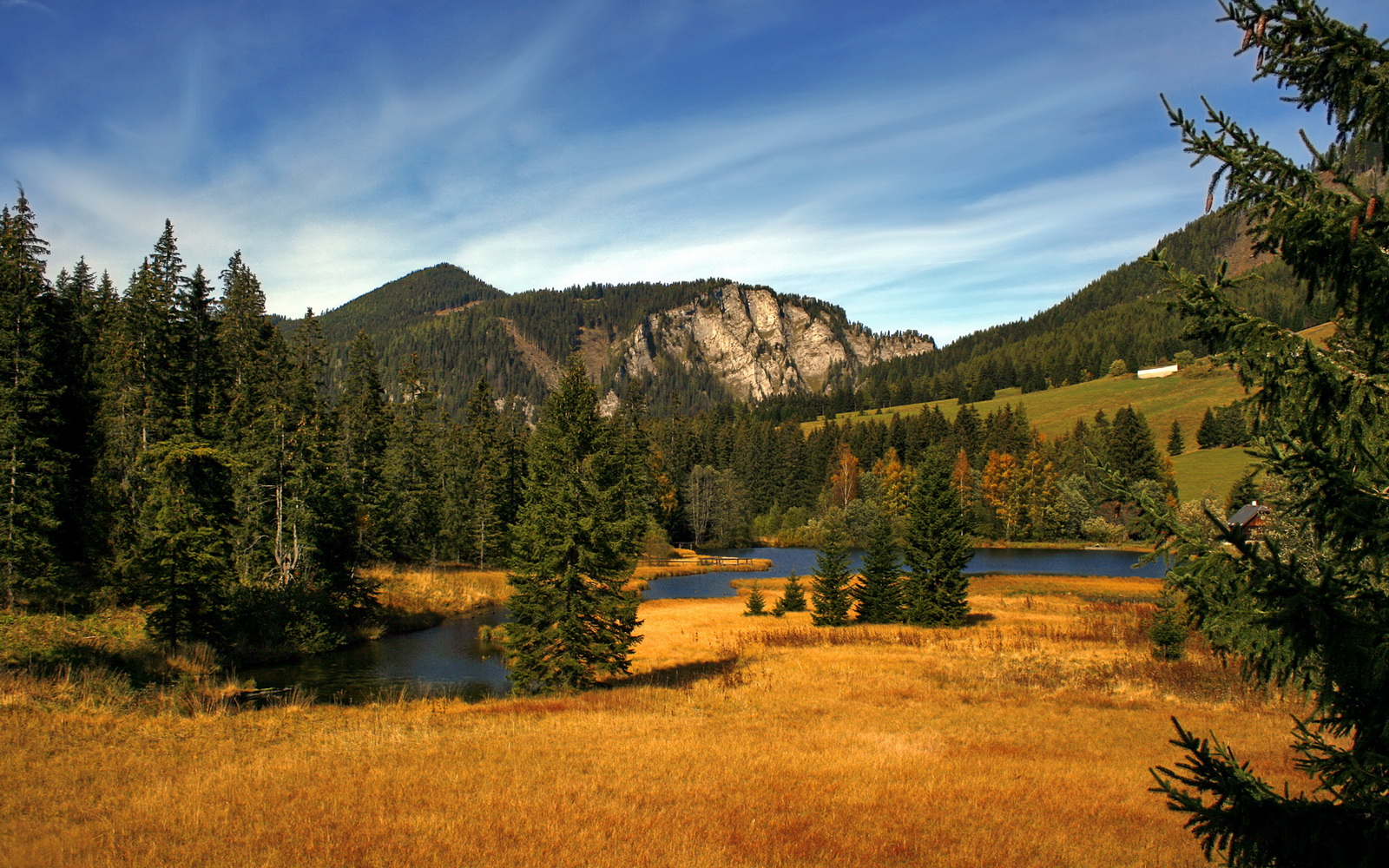 澳大利亚队赛后感谢团队支持,澳大利亚队名单